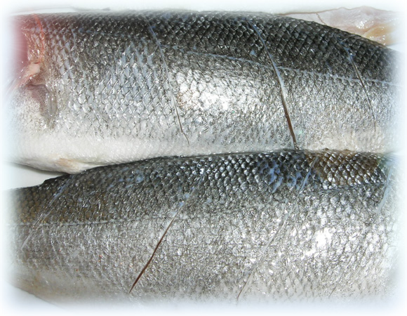 рыба (4)